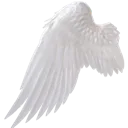 left_angel_wing