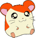 hamtaro2