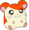 hamtaro2