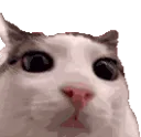 plink