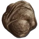 Feces