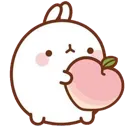 molang