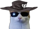 coolcat