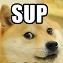 dogesup Discord Emoji