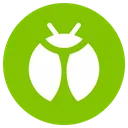 bug