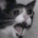 whheeyyyyy