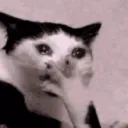 HELP