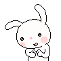 1978bunnyshy