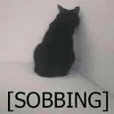 cat_sobbing cat_sobbing