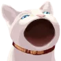 CatGoPop