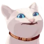 CatSmirk