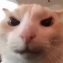 ishitmyself ishitmyself