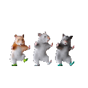 danceham3