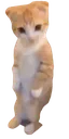 whatamilookingat