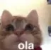 b_ola