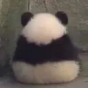 pandabutt