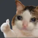 OP_sadOK Discord Emoji