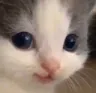 hehe hehe