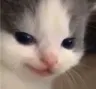 muhehe