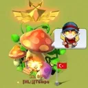 TempiFirework