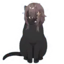 Meicat