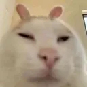 guh