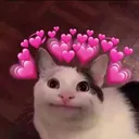 awwlie