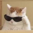 slightshade