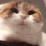 BigYawn