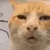 4BKhuh