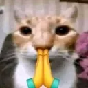 catprayge