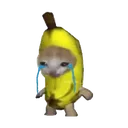 bananacat