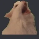 catscream Discord Emoji