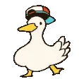 duckPls