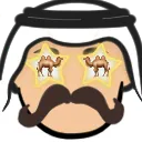 Camel_zooqi
