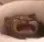 waaaa