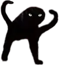 c_angy