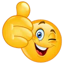 WinkThumbsup
