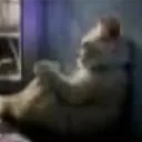 7dc01c6dea6a411ba1b29422f40ae932