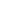 autoloadingholster