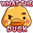 WhatTheDuck