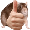 Piola Discord emoji