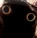 DGINSANITY DGINSANITY