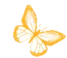 2234dobutterfly