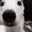 DGshook DGshook