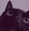 catcringe