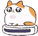 wjuuuu