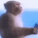 MonkeyListenin MonkeyListenin