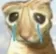 sadcat2 sadcat2