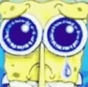 sadsponchbub